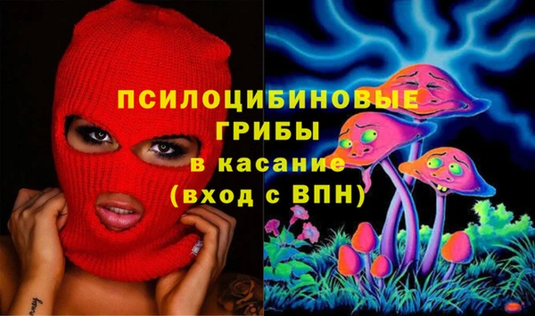 соль ск Белокуриха
