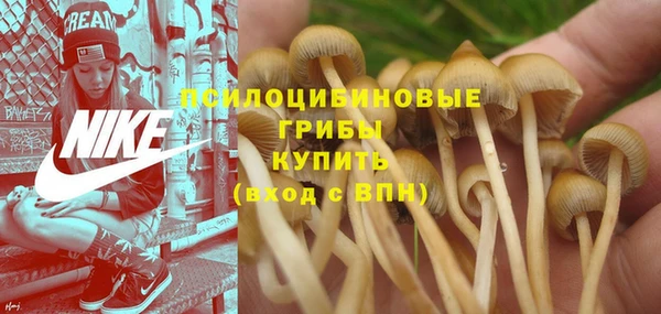 мяу мяу мука Белоозёрский